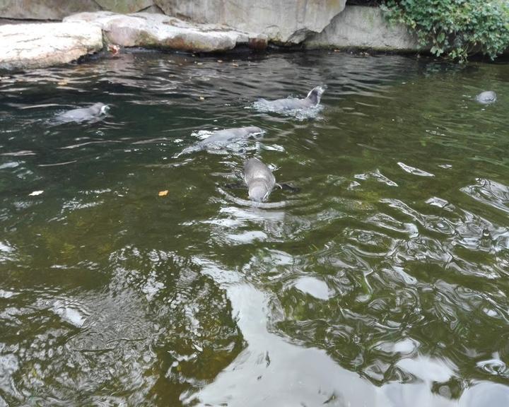 Waldschanke Zoo Berlin