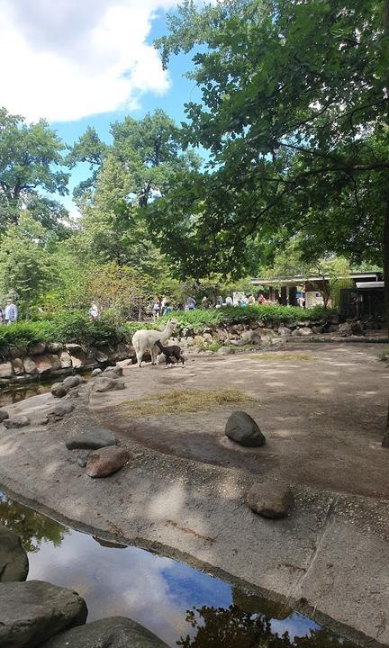 Zoo Restaurant