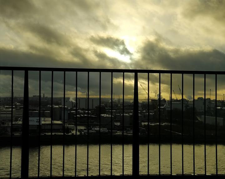 Blick