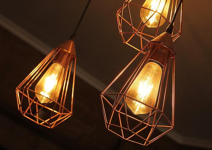 Schneeeule Salon für Berliner Bierkultur