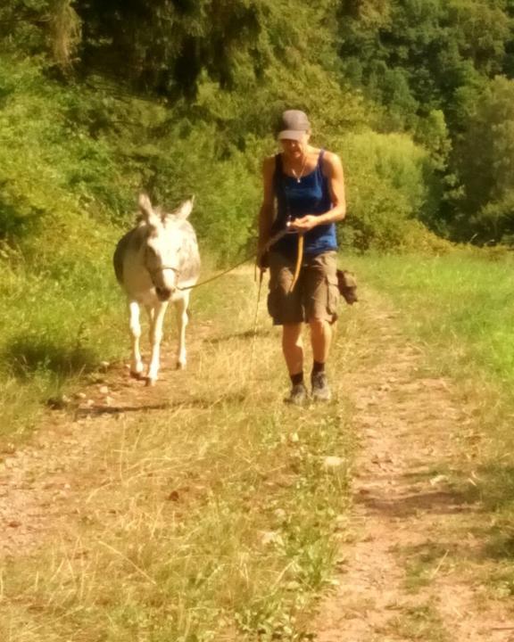 Pfälzer Wald Verein Dahn