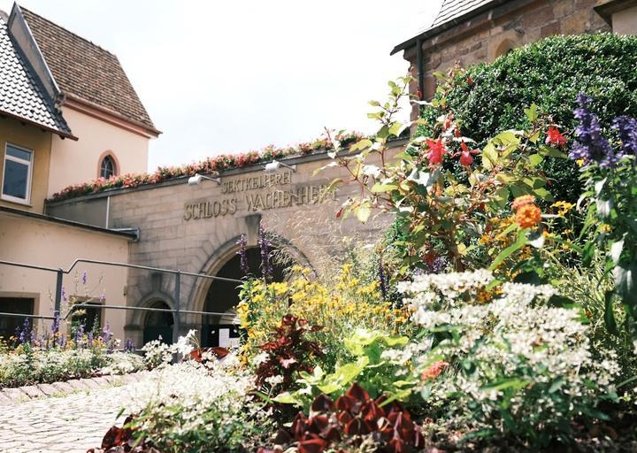 Schloss Wachenheim