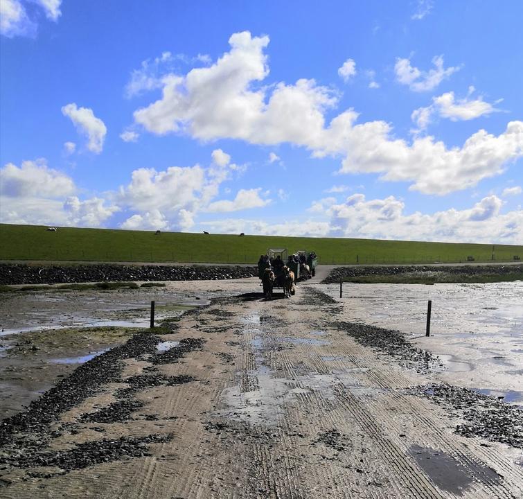 Hallig Südfall