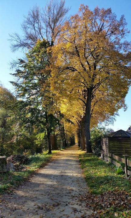Blumenhof