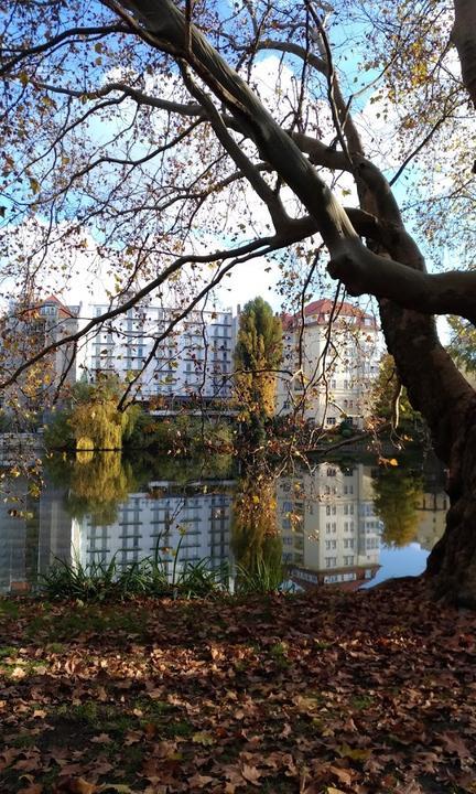 Bootshaus Stella am Lietzensee