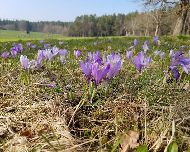 Wanderheim in Zavelstein