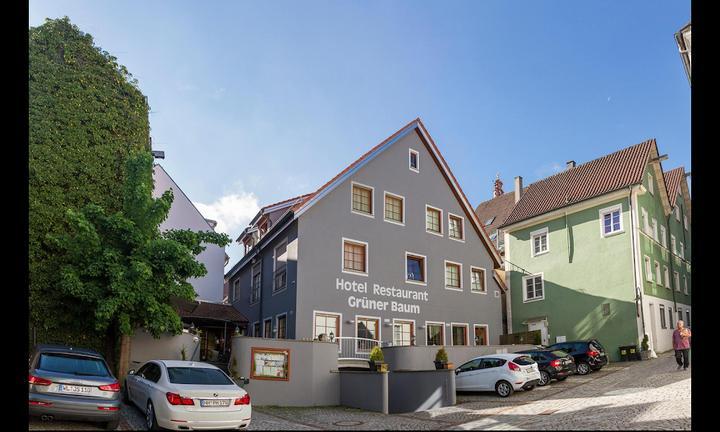 Gruener Baum