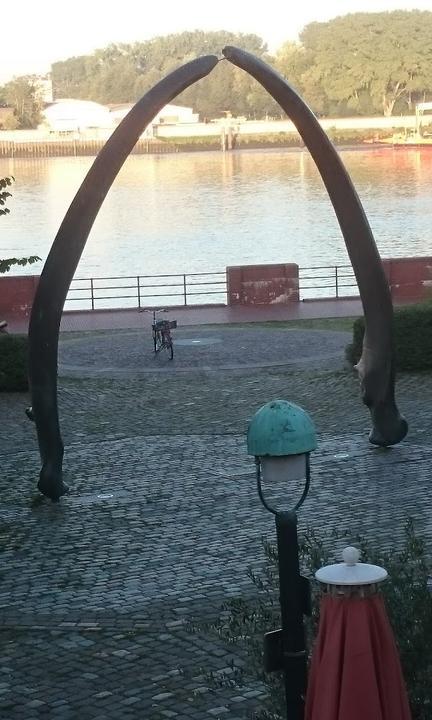 Havenhaus