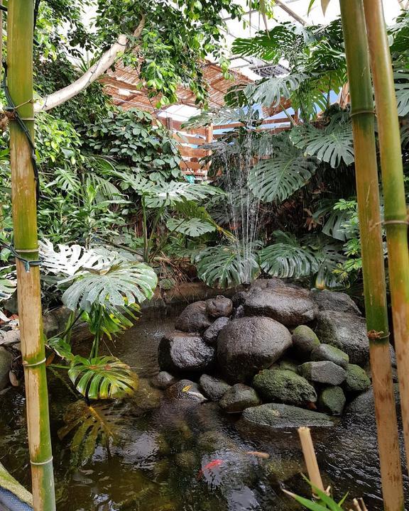 Bambusgarten