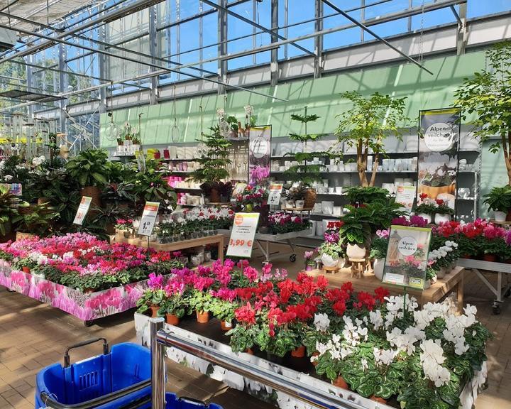Bambusgarten