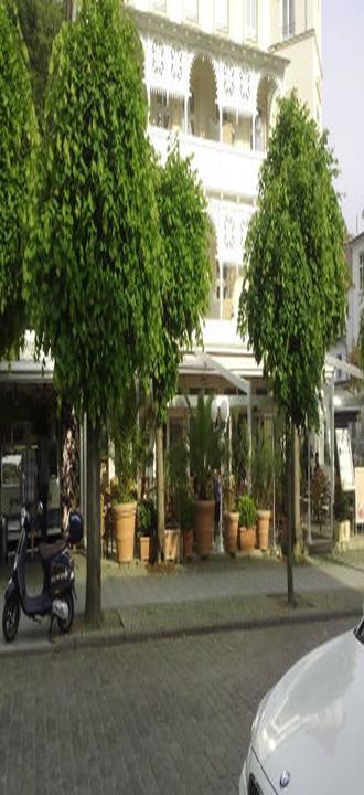Gran cafe Italia