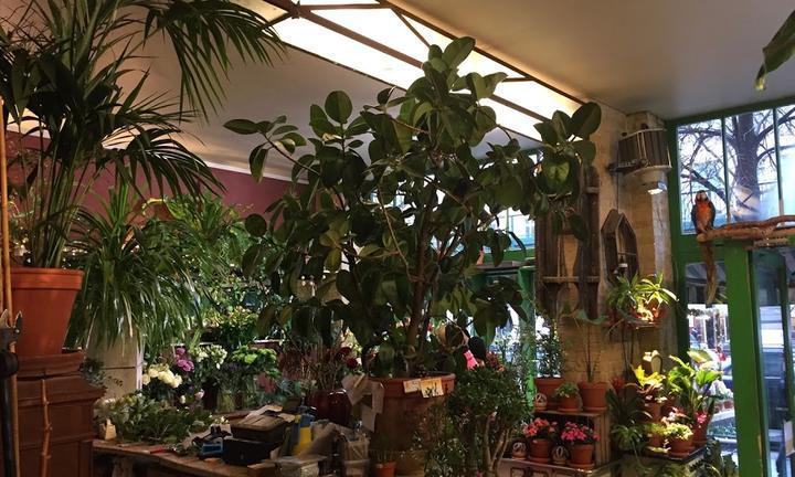 Blumencafe