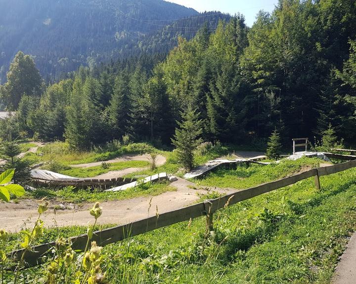 Die Krauterhexe