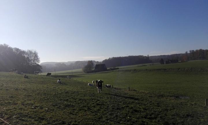 Tannenhof Grottendieck