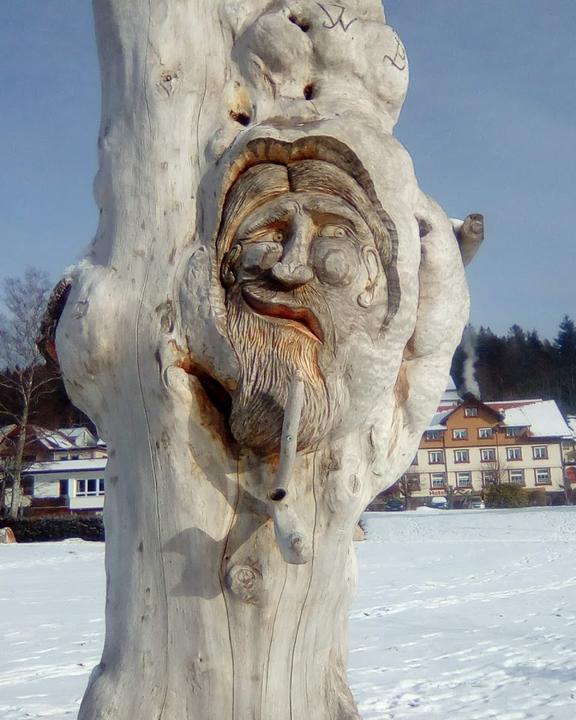 Schwarzwaldgasthof Schwanen