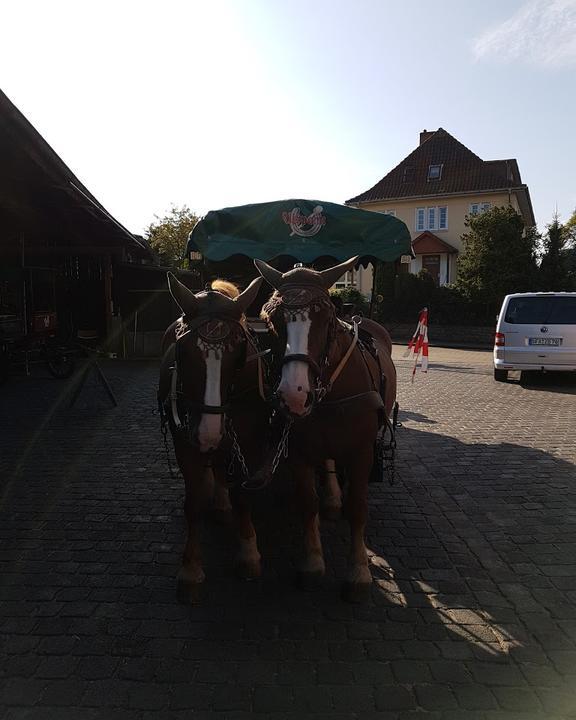 Restaurant Cafe Utspann