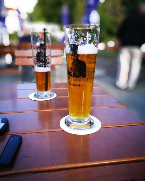 Münsters