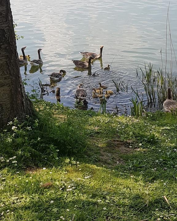 Treffpunkt am See