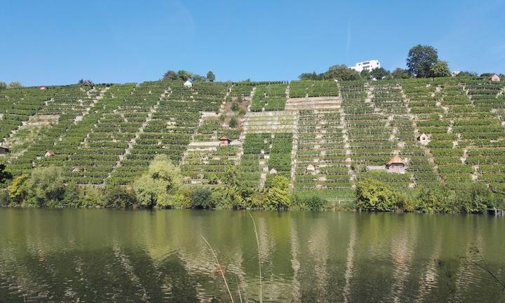 Treffpunkt am See