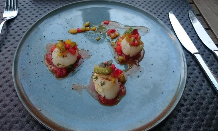 Gusto Natural Modern Grill