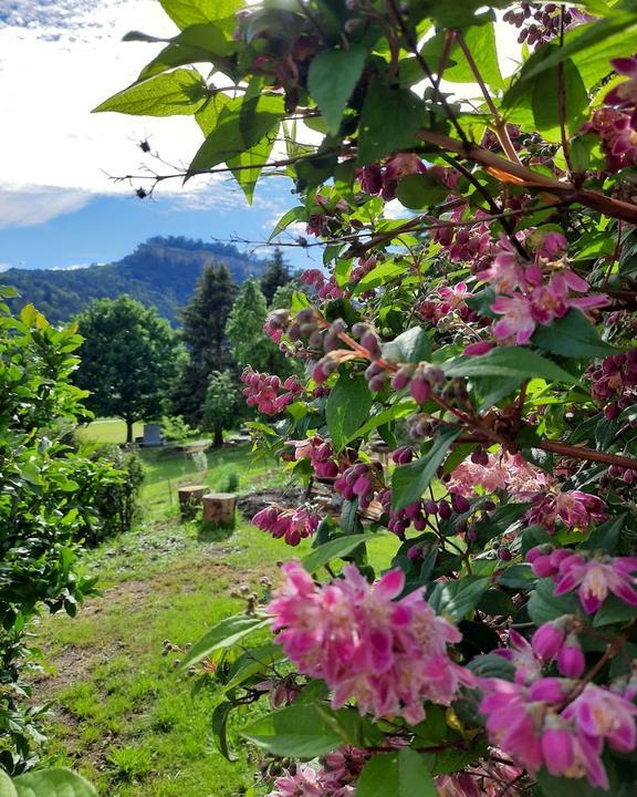 Landgasthof Müller Königstein in Sachsen