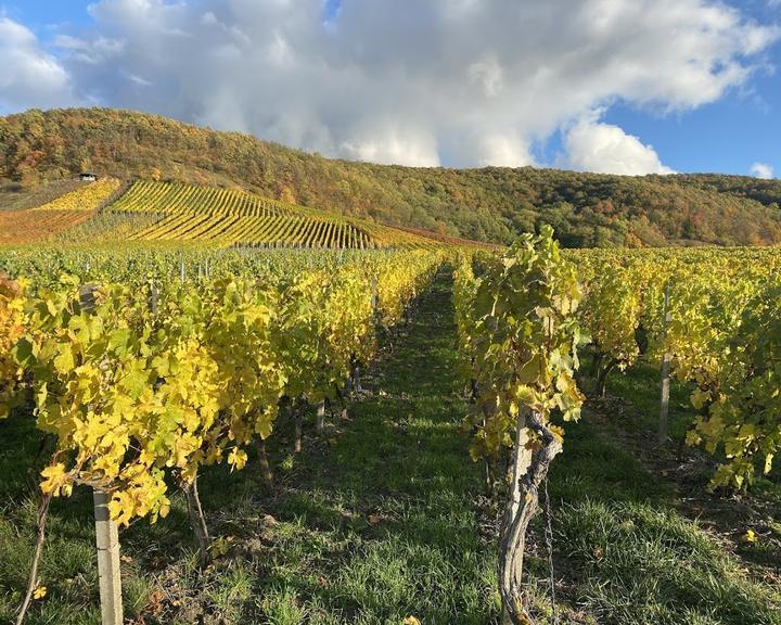 Wein Paradies Scheune