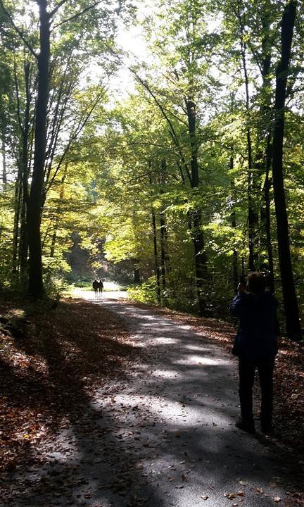 Terass Cafe-Restaurant