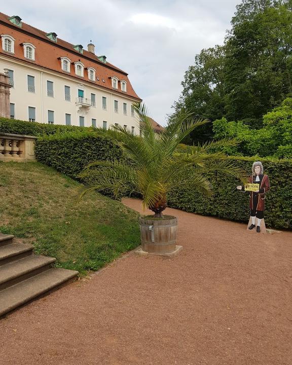 Restaurant Vitzthum Schloss Lichtenwalde