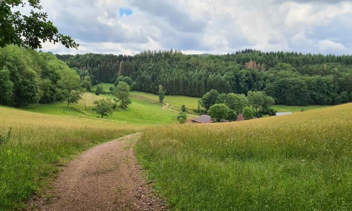 Waldgaststätte Alt-Lechtern