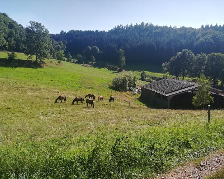 Waldgaststätte Alt-Lechtern