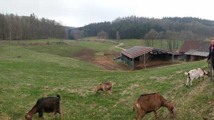 Waldgaststätte Alt-Lechtern