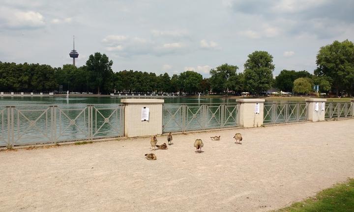 Biergarten am Aachener Weiher