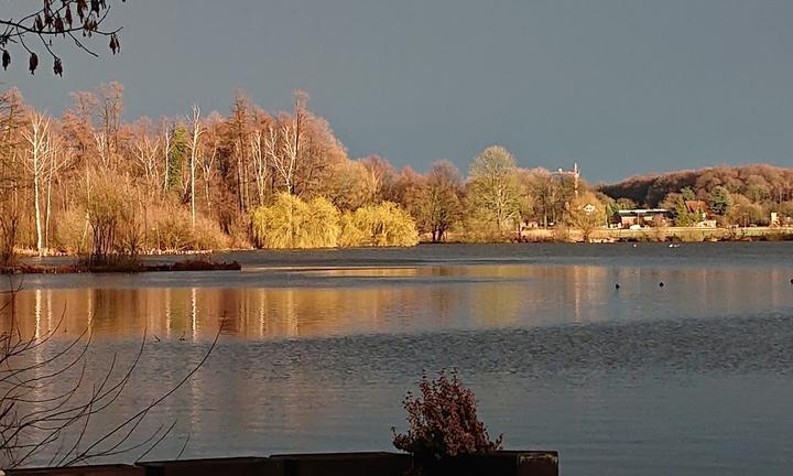 Moorstubchen