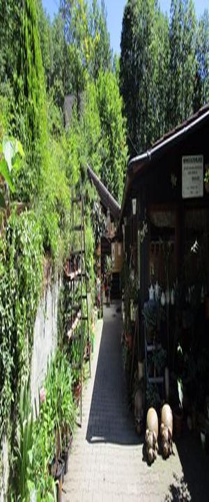 Waldcafe Sulzfeld