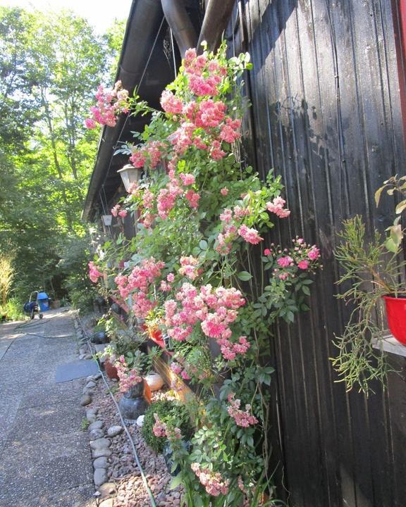 Waldcafe Sulzfeld