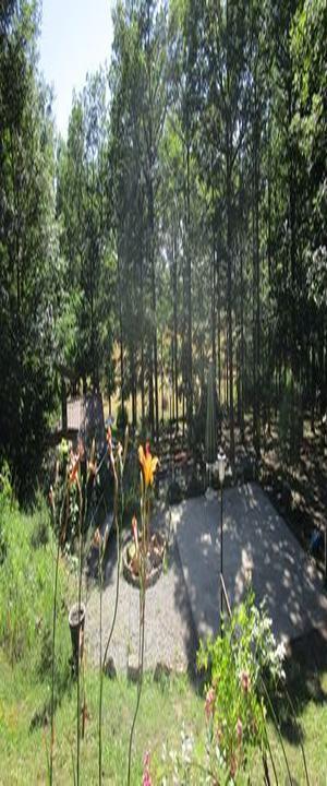 Waldcafe Sulzfeld