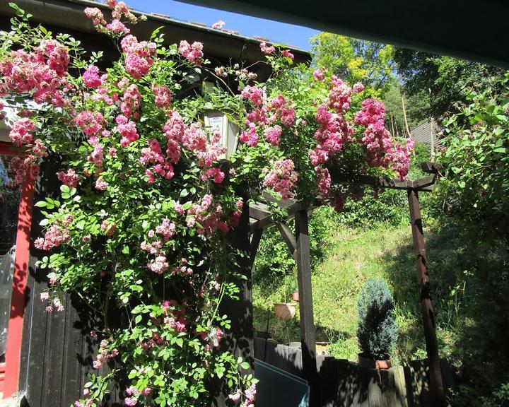 Waldcafe Sulzfeld