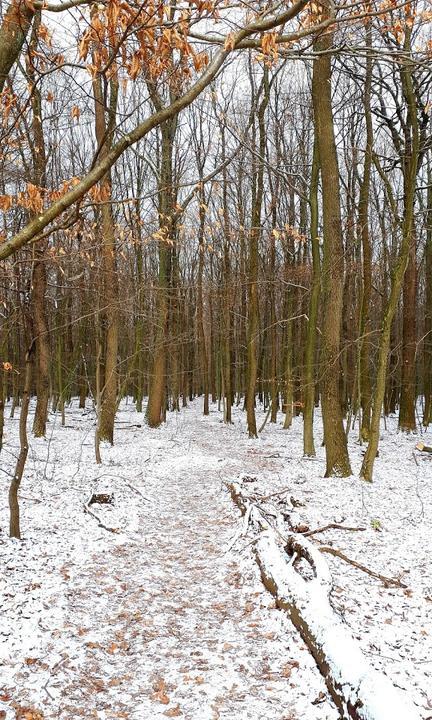 Naturfreundehaus Kirschheck