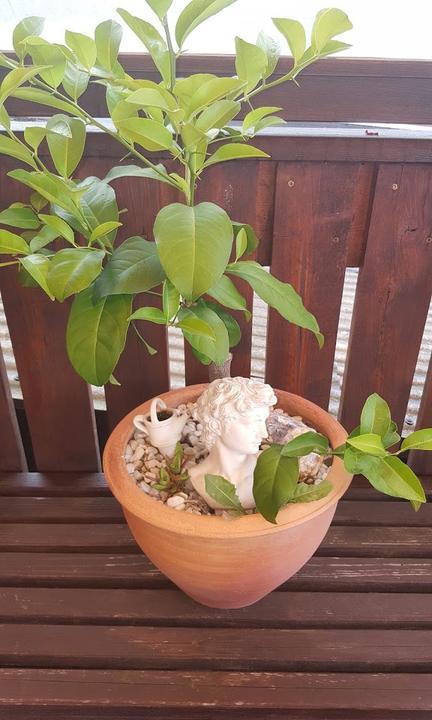 Pizzeria Jean Paul Stuben