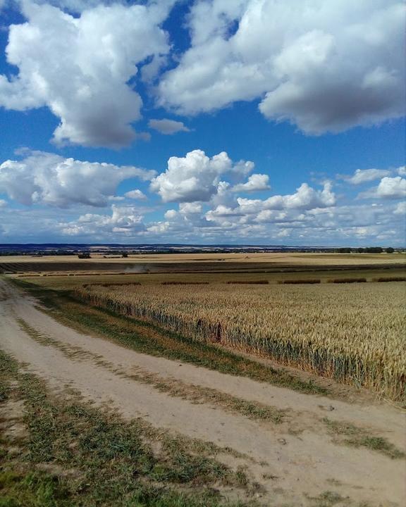 Gaststatte Zur Linde