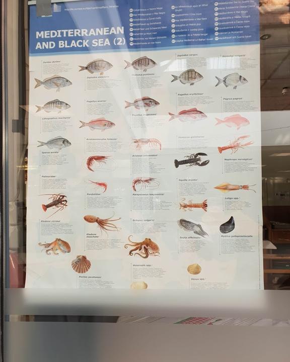 Sushi Factory - Verwaltung