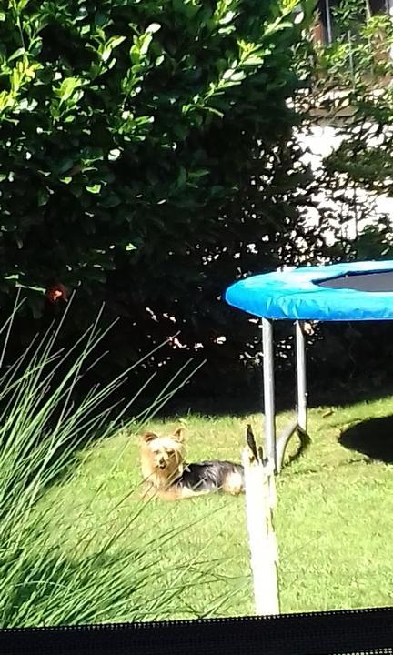 Sonne