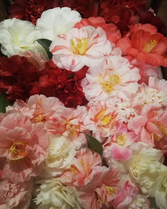 Gasthof Zum Lindental