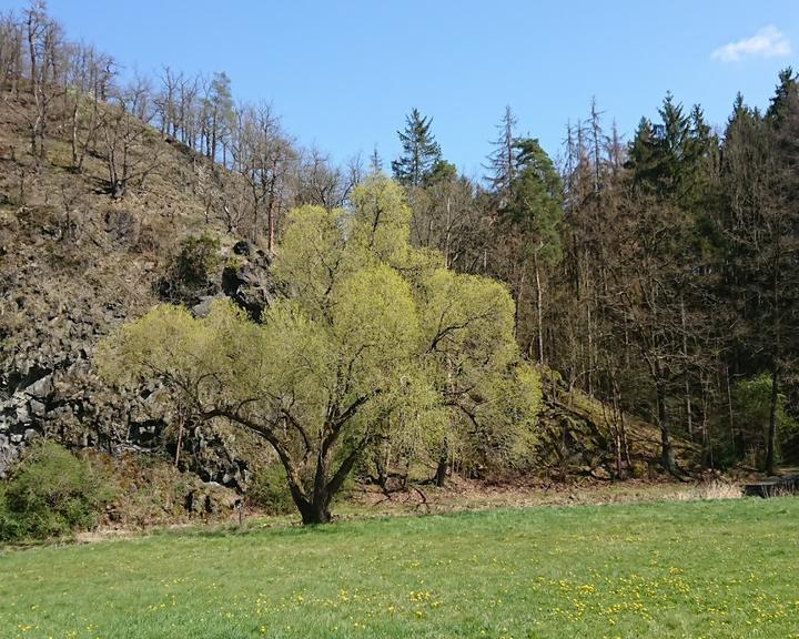 Lochbauer
