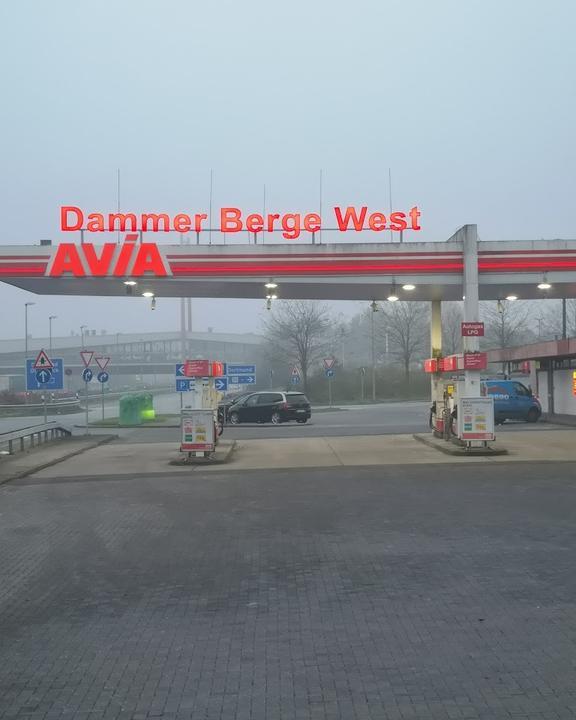 Dammer Berge West