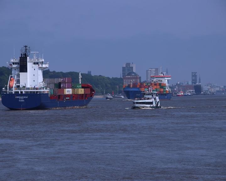 Finkenwerder Elbblick