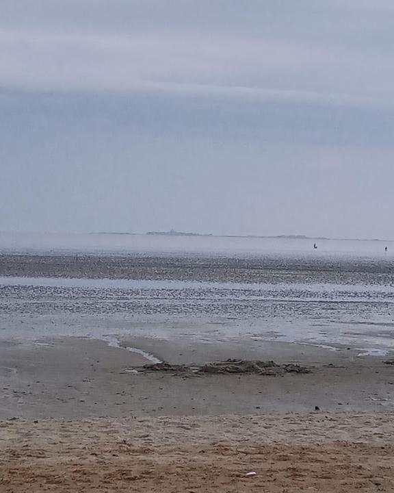 Stortebeker