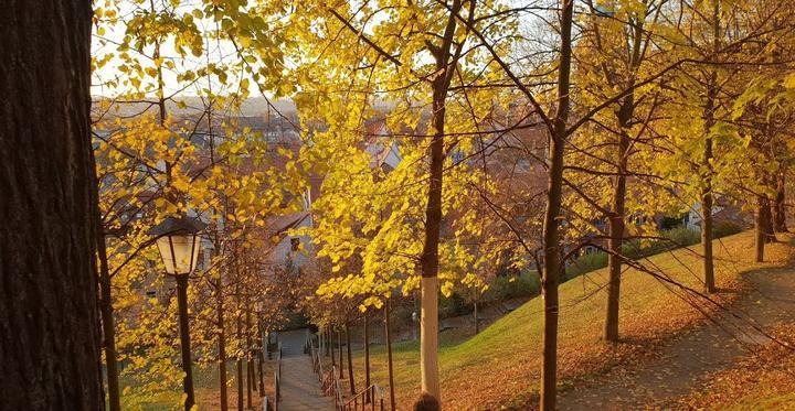 Biergarten Schlossschanke