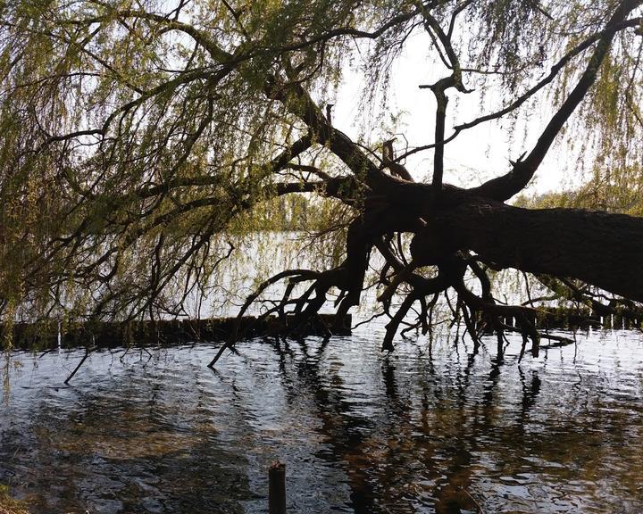 Malche Restaurant am See