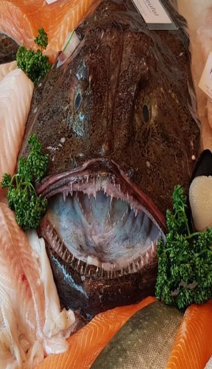 Fisch-Feinkost Kluge